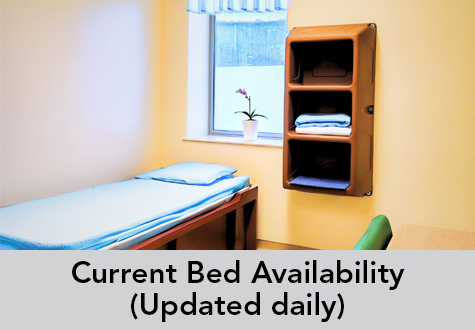 Current Bed Availability (Updated daily)