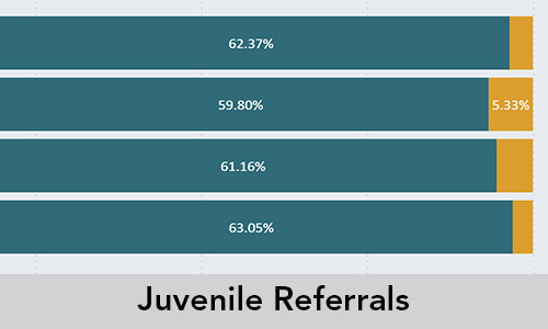 Data Juvenile Referrals Button
