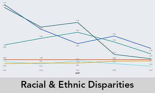 Racial and Ethnic Disparities Button