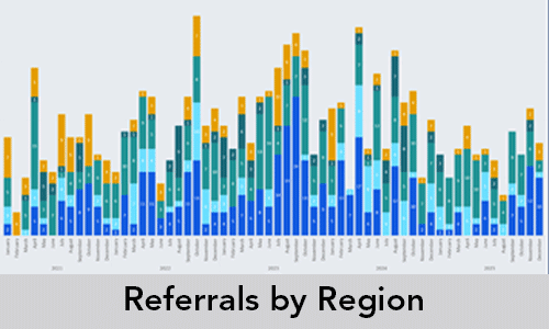 Referrals by Region