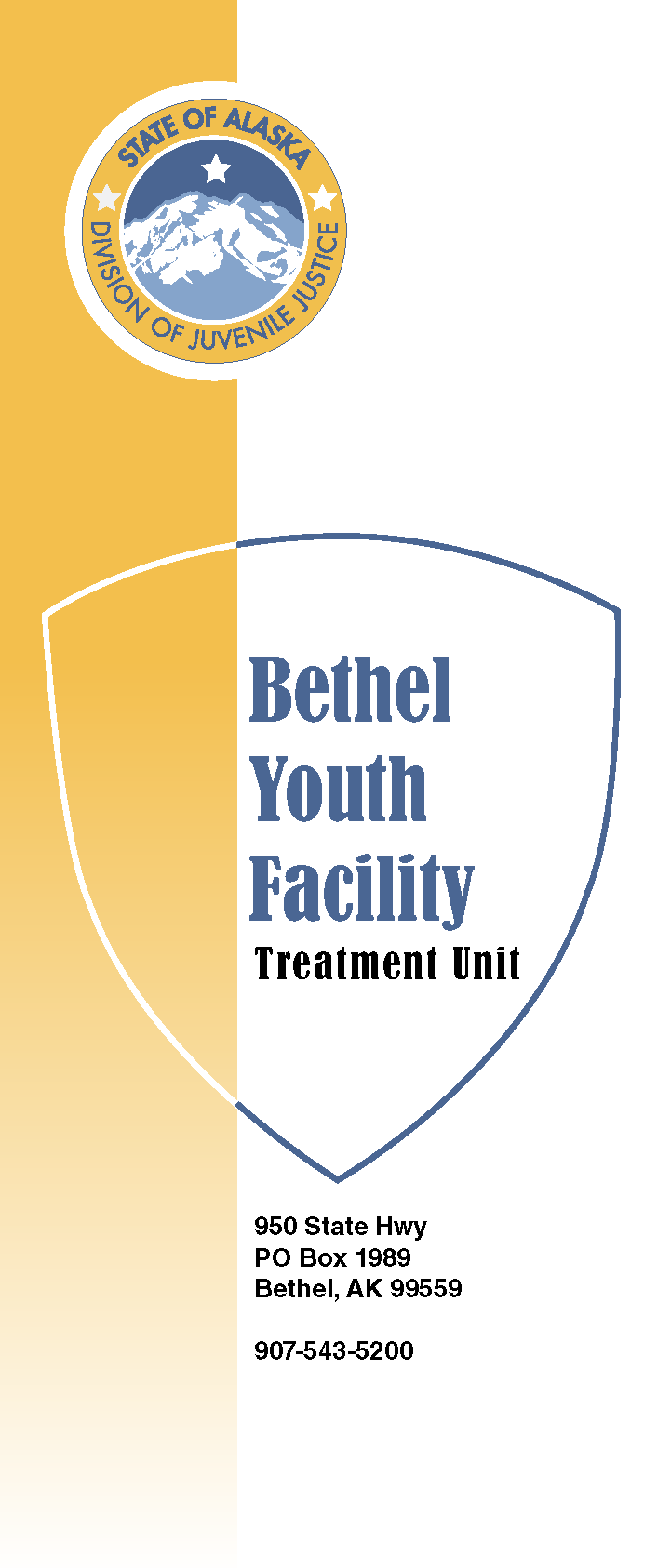 Bethel Youth Center Treatment Brochure Thumbnail