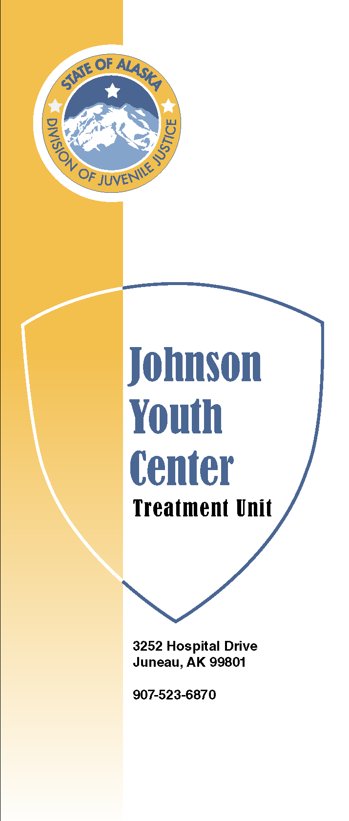 Johnson Youth Center Treatment Brochure Thumbnail