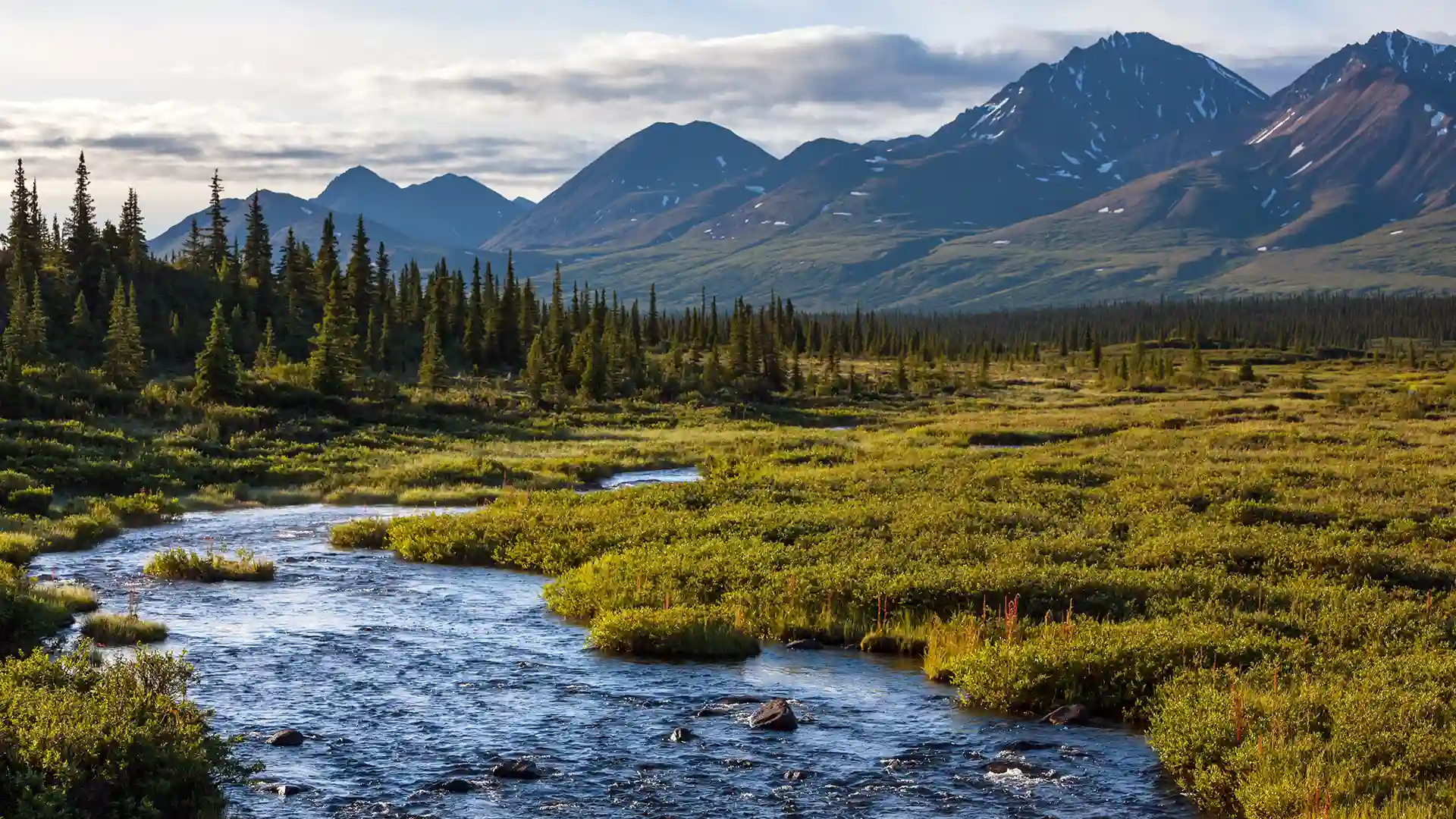 Alaska Mountain Stream