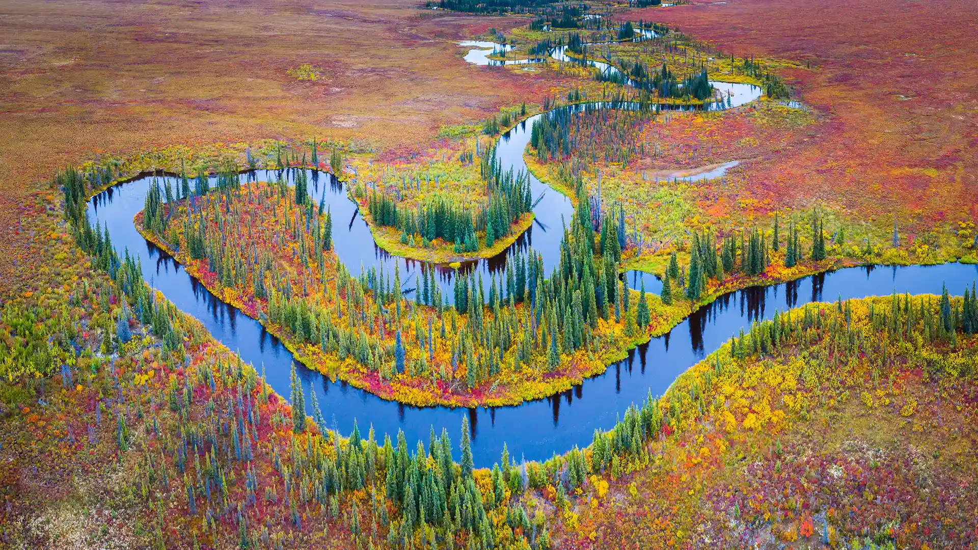 Aerial view of tundra with trees and meandering river
