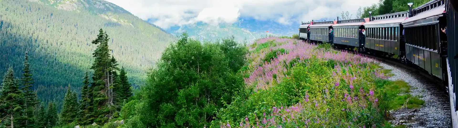Fireweed beside moving train near Skagway
