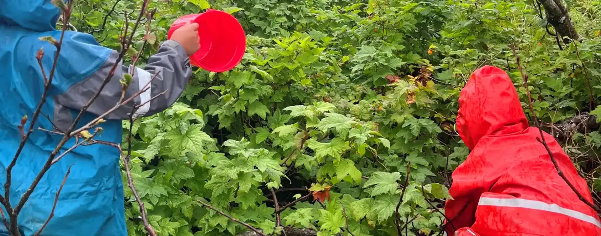 Adult and child picking berries in full rain gear