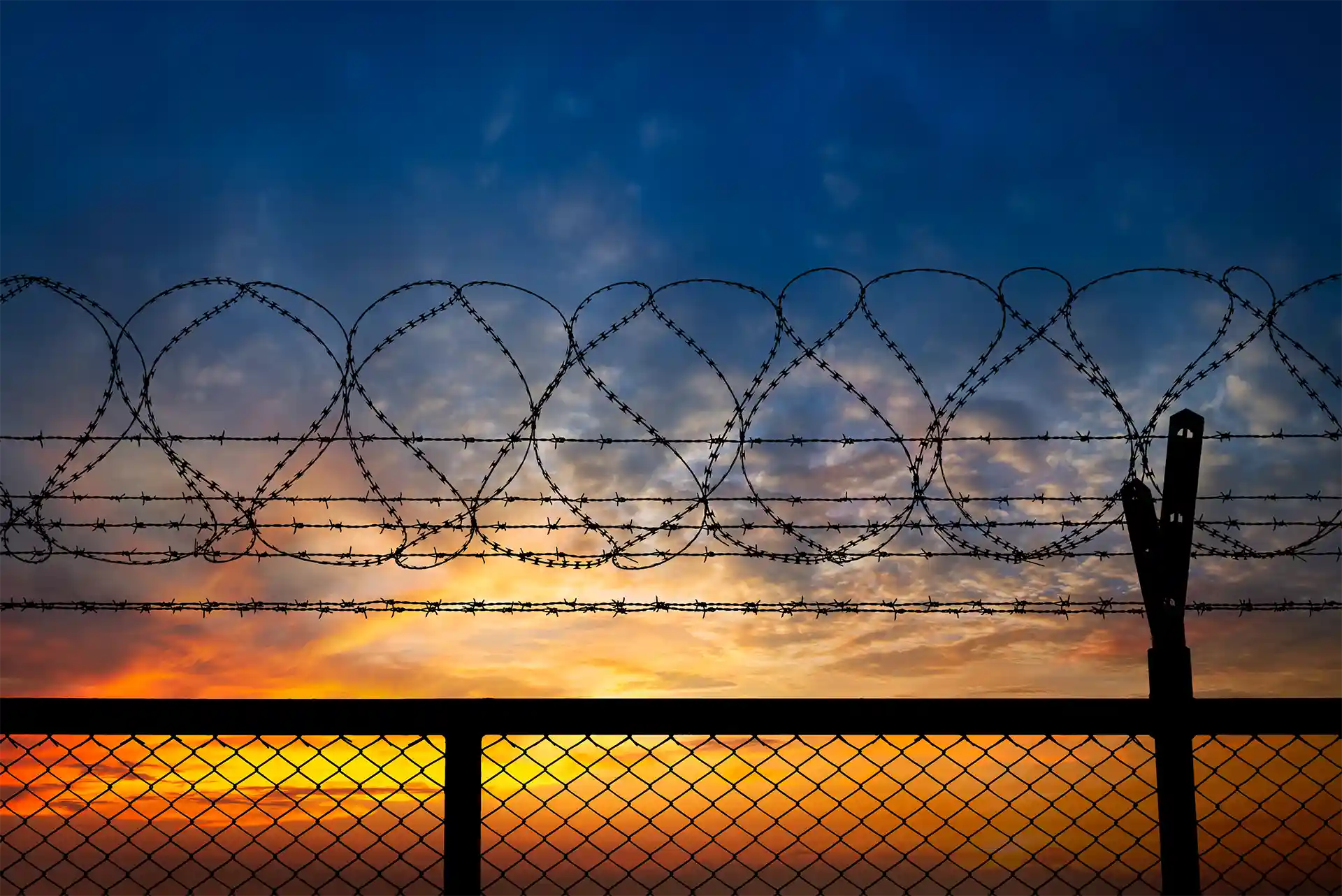 Barbed Wire Fence