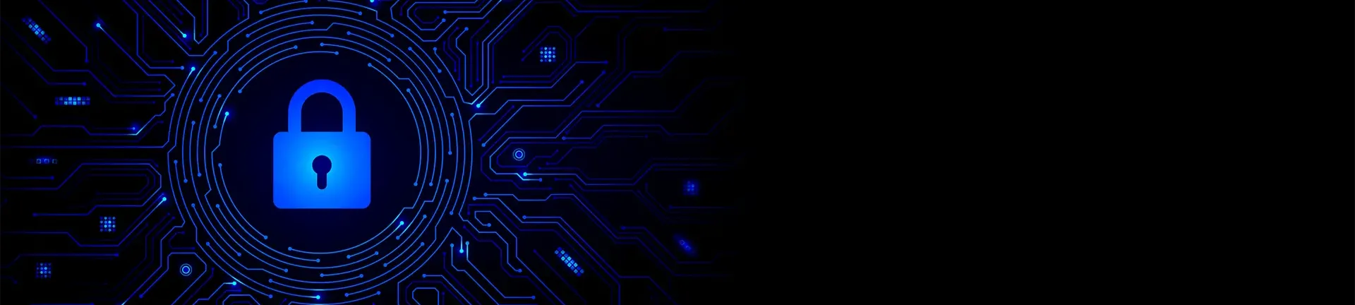 Lock icon surrounded by stylized digital pathways