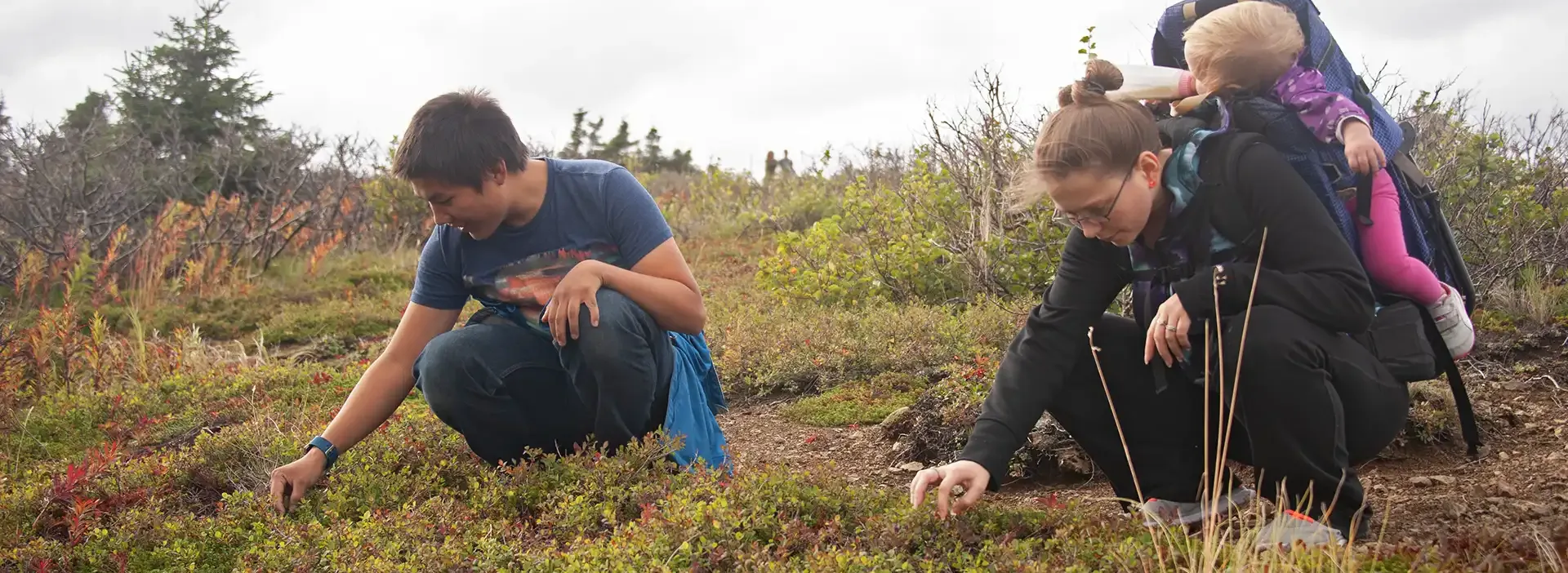 Two people picking berries, one with a child on her back in a carrier