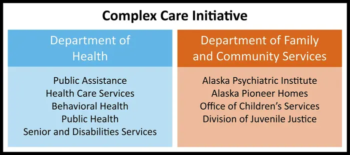 Complex Care Initiative Chart