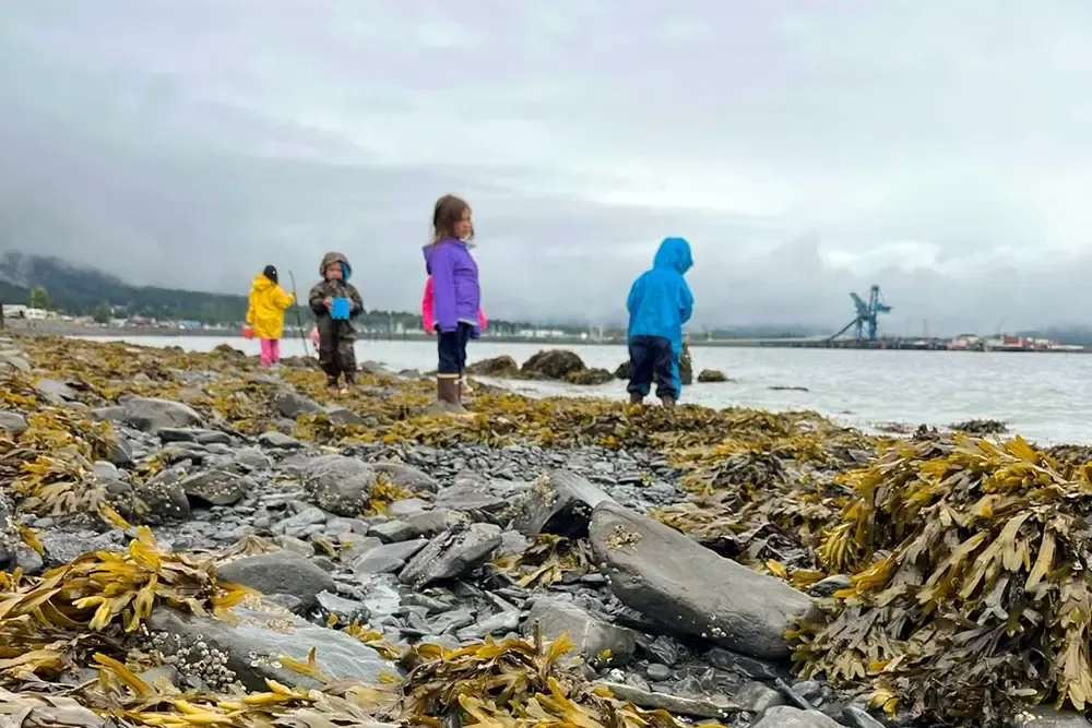 Kids beachcombing near Seward