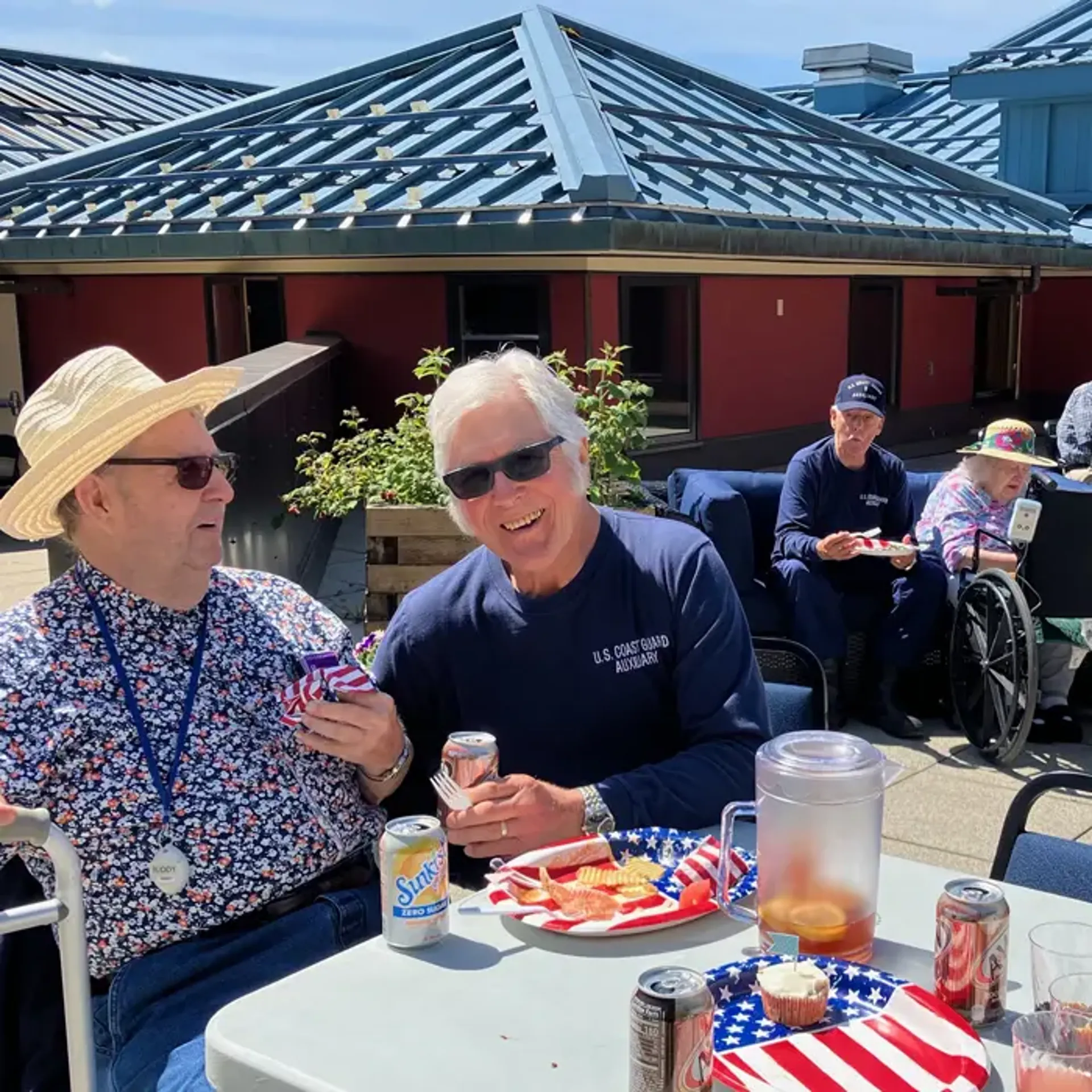 Outdoor picnic at the with patriotic paper plates