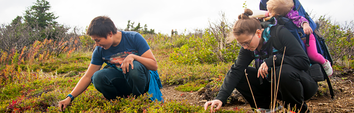 Two youth pick berries. One youth holds a child on her back.